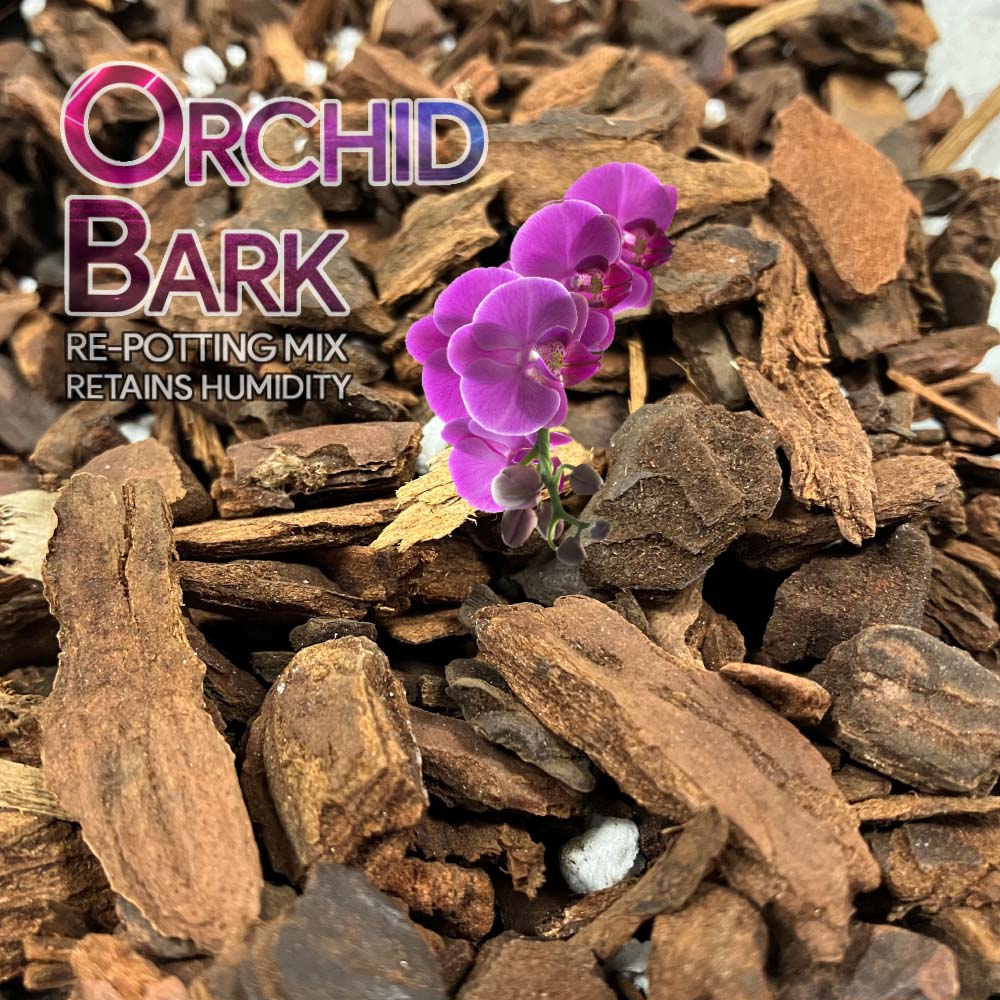 The Importance Of Orchid Bark