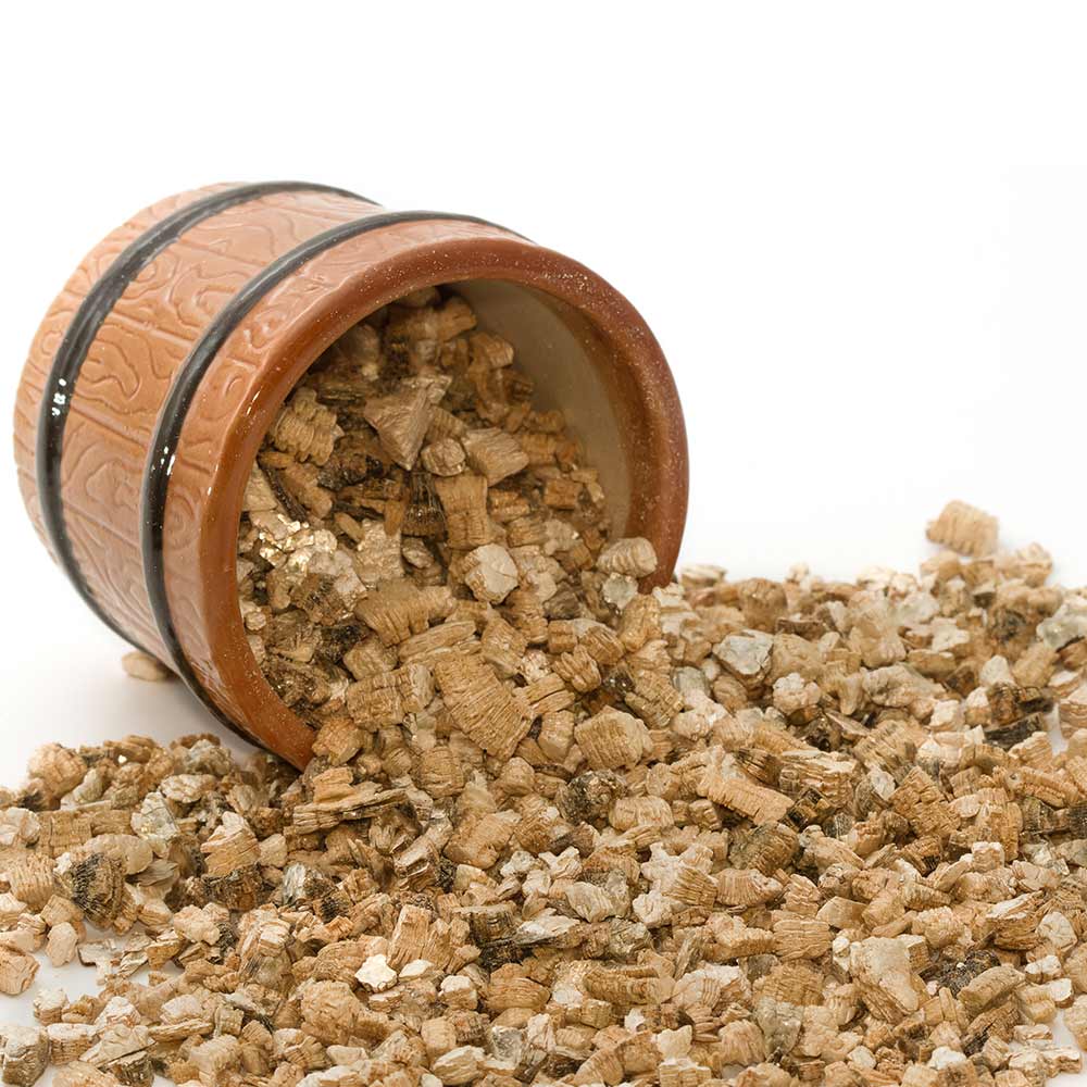 A Complete Guide to Vermiculite: The Gardener’s Secret for Healthier Plants
